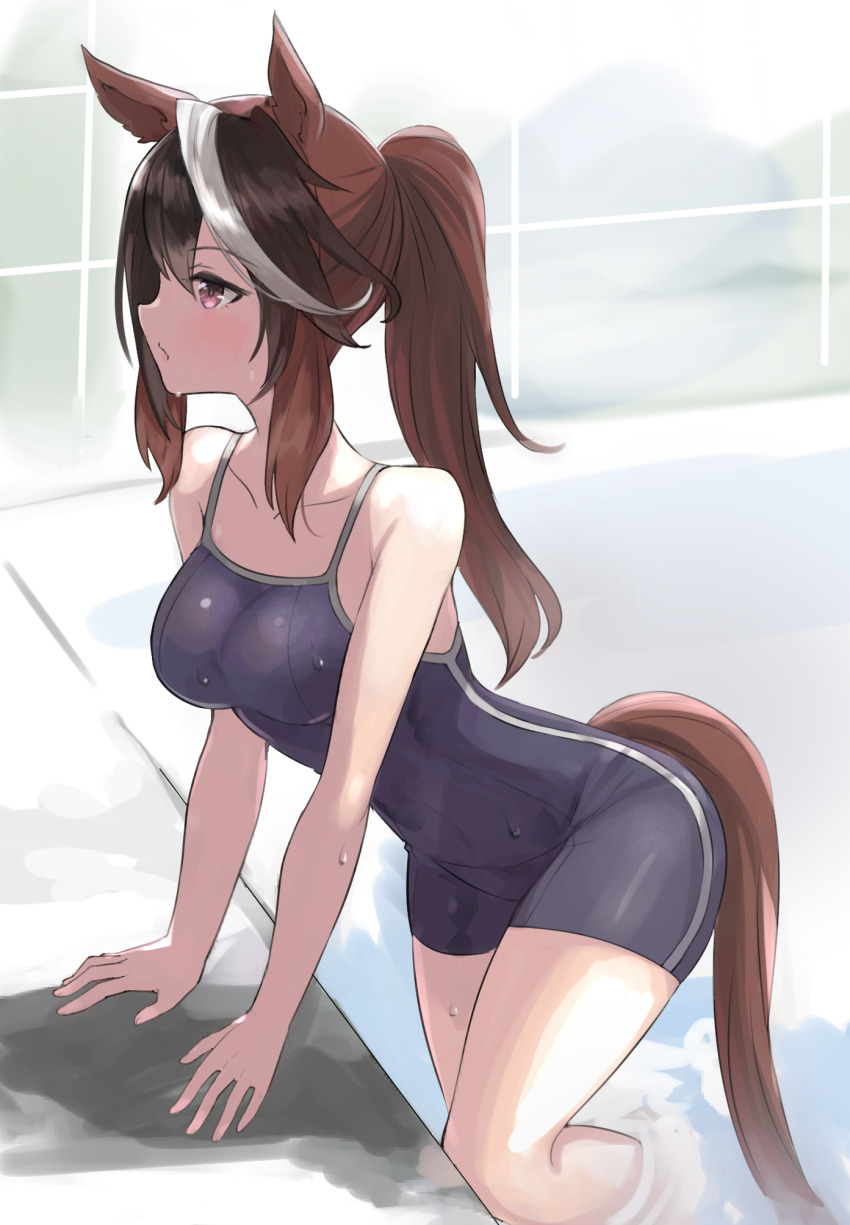 1girl :/ animal_ears arm_support black_hair blue_one-piece_swimsuit blue_school_swimsuit breasts brown_hair clothing_cutout collarbone from_side hair_between_eyes high_ponytail highres horse_ears horse_girl horse_tail kusanagi_kaoru leaning_forward light_blush long_hair looking_afar medium_breasts multicolored_hair nontraditional_school_swimsuit one-piece_swimsuit pink_eyes ponytail pool poolside profile school_swimsuit shadow sidelocks single_vertical_stripe solo streaked_hair swimsuit symboli_rudolf_(umamusume) tail tail_through_clothes thighs tracen_swimsuit umamusume wading water wet wet_clothes wet_swimsuit white_hair