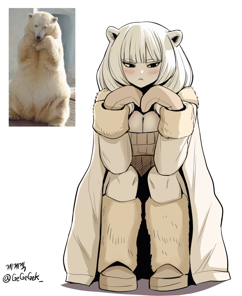 1girl :&lt; absurdres animal_ears artist_name bear bear_ears bear_girl black_eyes blunt_bangs blush boots breasts bright_pupils brown_sweater cleavage closed_mouth coat creature_and_personification elbow_rest elbows_on_knees eyelashes full_body fur-trimmed_coat fur-trimmed_sleeves fur_boots fur_trim gegegekman hand_on_own_chest hand_on_own_chin hands_up head_rest highres knees_up korean_text large_breasts long_hair long_sleeves looking_down mittens narrowed_eyes original own_hands_together pale_skin personification photo-referenced polar_bear reference_inset ribbed_sweater scoop_neck shadow sidelocks signature simple_background sitting straight-on sweater thick_eyebrows twitter_username white_background white_coat white_footwear white_hair white_mittens white_pupils