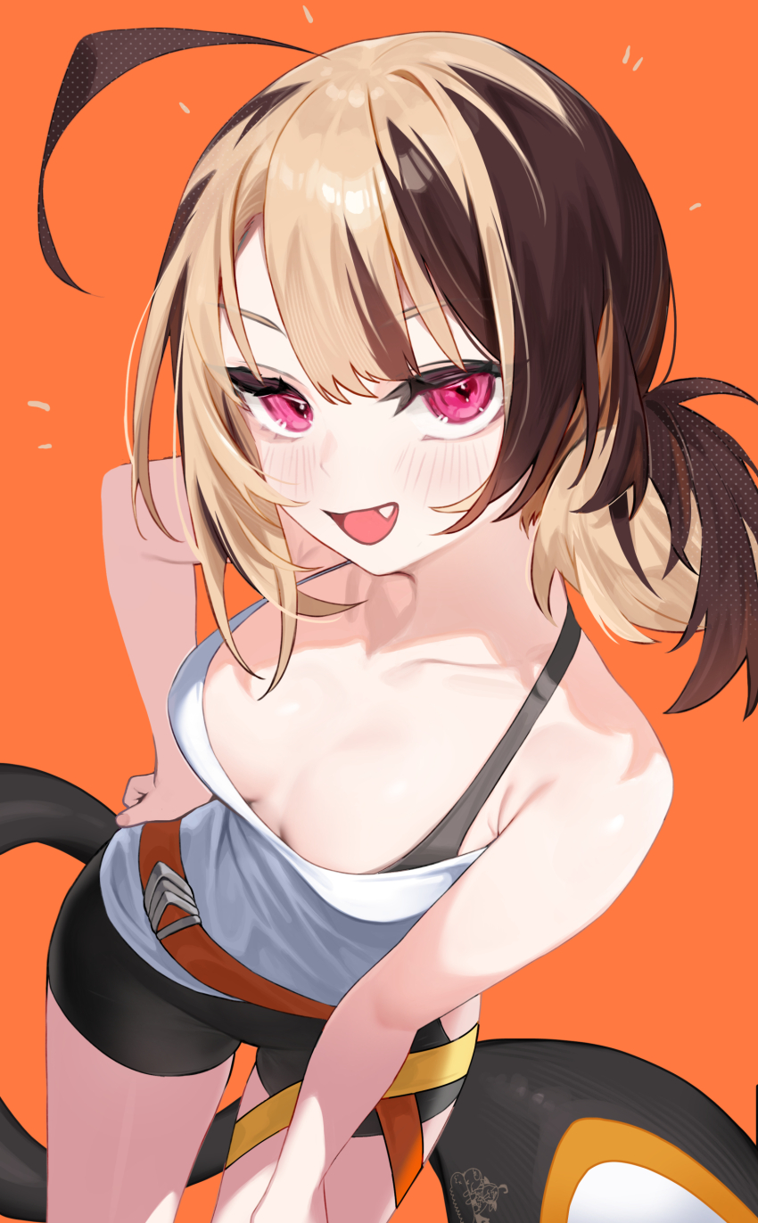 1girl absurdres ahoge armpit_crease belt bike_shorts black_shorts breasts brown_hair cowboy_shot fang gigi_murin gigi_murin_(1st_costume) hand_on_own_hip highres hololive hololive_english hoshi_usagi huge_ahoge leaning_forward light_blush light_brown_hair looking_at_viewer medium_breasts multicolored_hair notice_lines open_mouth orange_background orange_belt pink_eyes shirt shorts simple_background smile solo standing tail tongue two-tone_hair virtual_youtuber white_shirt