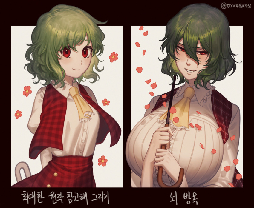 50x48x48 alternate_breast_size arms_behind_back ascot breasts dual_persona flower green_hair holding holding_umbrella huge_breasts kazami_yuuka korean_text long_sleeves looking_at_viewer multiple_views official_style parasol petals plaid_clothes plaid_skirt plaid_vest puffy_sleeves red_eyes red_skirt red_vest shirt short_hair skirt smile touhou twitter_username umbrella vest white_shirt yellow_ascot zun_(style)