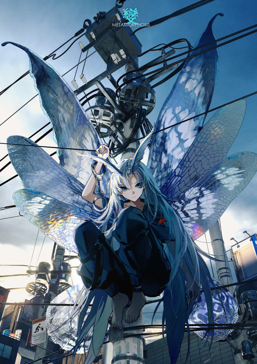 1girl 86_(nononononoway) absurdres antennae arthropod_girl barefoot blue_eyes blue_hair butterfly_wings cityscape cuffs english_text expressionless handcuffs highres insect_girl insect_wings knees_up long_hair looking_at_viewer moth_girl multiple_wings original pants power_lines short_sleeves sitting solo utility_pole wings