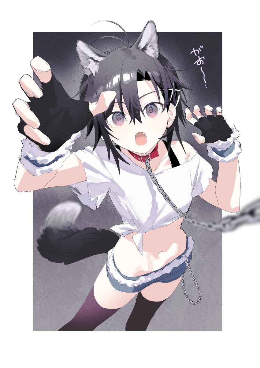 1girl :o absurdres animal_collar animal_ear_fluff animal_ears antenna_hair black_bra black_eyes black_gloves black_thighhighs blue_shorts blue_wrist_cuffs border bra bra_strap breasts brown_eyes chain chain_leash collar commentary crop_top cropped_shirt denim denim_shorts fangs feet_out_of_frame fingerless_gloves foreshortening fur-trimmed_shorts fur-trimmed_wrist_cuffs fur_trim gloves gradient_background gradient_eyes grey_background hair_between_eyes hair_ornament halloween halloween_costume highres howling idolmaster idolmaster_(classic) idolmaster_million_live! kikuchi_makoto leash looking_at_viewer lowleg lowleg_shorts midriff multicolored_eyes navel off_shoulder open_mouth outside_border perspective petite reaching reaching_towards_viewer red_collar shirt short_hair short_shorts short_sleeves shorts side-tie_shirt small_breasts solo tail thighhighs tomboy torn_clothes torn_shirt translated underwear vickyycy99 viewer_holding_leash wallet_chain werewolf white_border wolf_ears wolf_girl wolf_tail wrist_cuffs x_hair_ornament