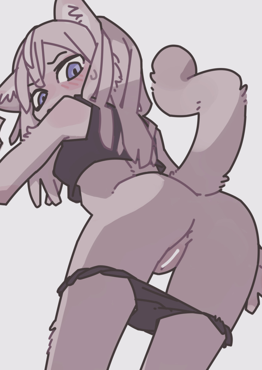 1girl animal_ears anus ass black_panties blue_eyes blush cat_ears cat_girl cat_tail censored commentary crop_top english_commentary furry furry_female grey_background highres long_hair looking_at_viewer looking_down mixed-language_commentary original paid_reward_available panties panty_pull pussy tail underwear white_fur white_hair yagi_(s1120411)