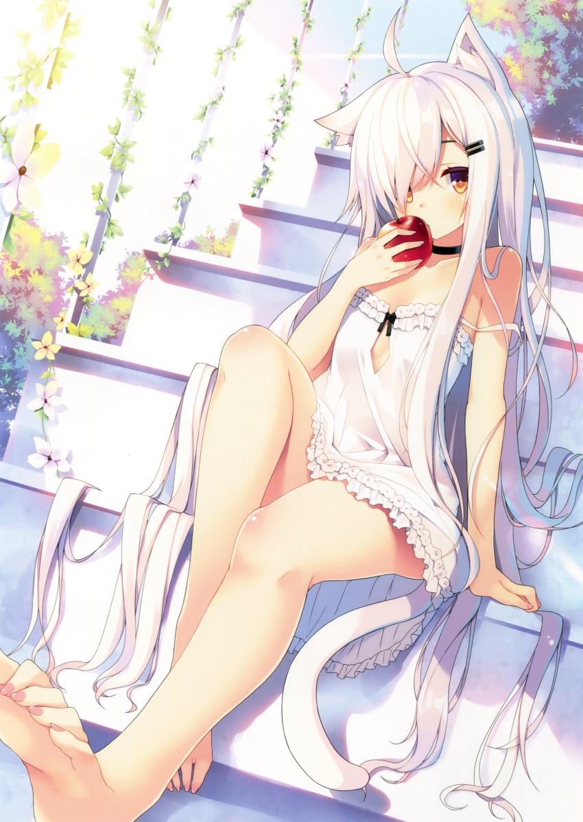 1girl absurdres ahoge animal_ear_fluff animal_ears apple bare_legs bare_shoulders barefoot black_neckwear body_blush breasts brown_eyes cat_ears cat_tail chiri_(atlanta) choker dress dutch_angle feet female_focus flower food fruit hair_ornament hairclip highres holding legs long_hair looking_at_viewer nail_polish off_shoulder original scan sidelocks silver_hair sitting sitting_on_stairs sleeveless sleeveless_dress small_breasts solo stairs strap_slip sundress tail toes very_long_hair white_dress