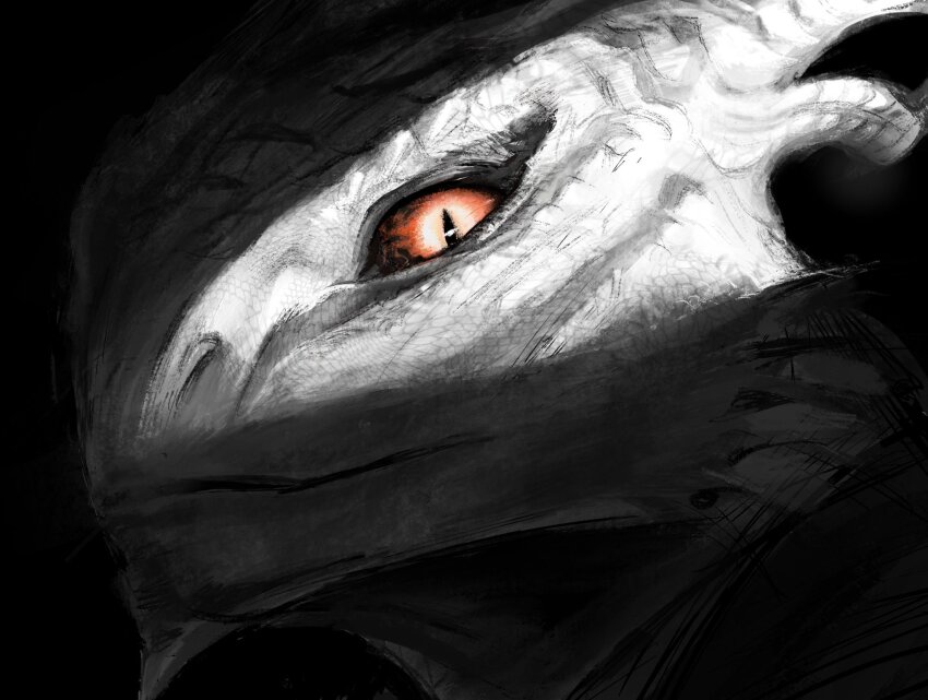 1boy baldur&#039;s_gate baldur&#039;s_gate_3 black_background black_sclera colored_sclera dragon_boy dragonborn_(d&amp;d) dungeons_&amp;_dragons dungeons_&amp;_dragons eye_focus furry furry_male highres jeremyredddd portrait red_eyes shadow the_dark_urge_(baldur&#039;s_gate) white_scales