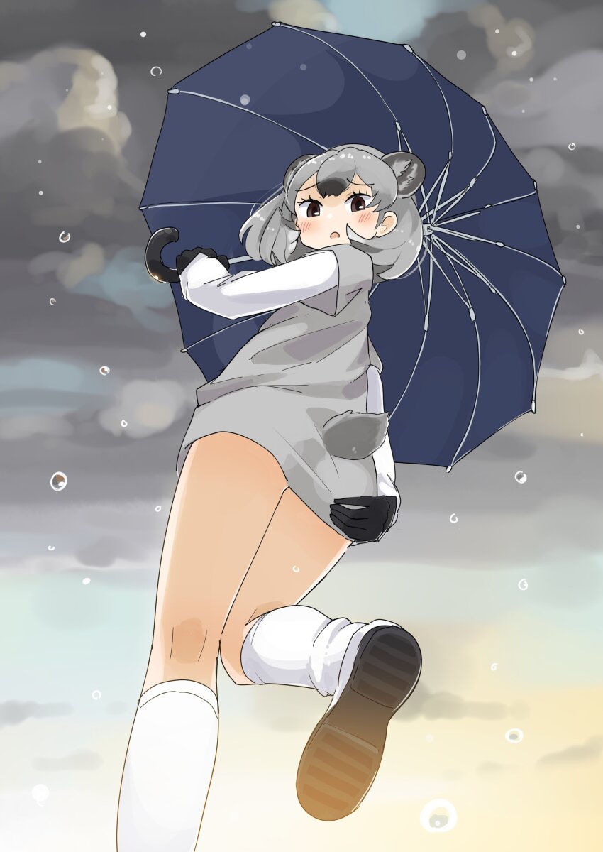 1girl absurdres animal_ears black_gloves black_hair brown_eyes dress extra_ears from_below gloves grey_hair grey_sweater hair_between_eyes highres holding holding_umbrella iwa_(iwafish) kemono_friends long_sleeves looking_at_viewer looking_down loose_socks multicolored_hair rain rock_hyrax_(kemono_friends) shoe_soles shoes short_hair sidelocks sneakers socks solo sweater sweater_dress tail umbrella white_footwear white_sleeves white_socks