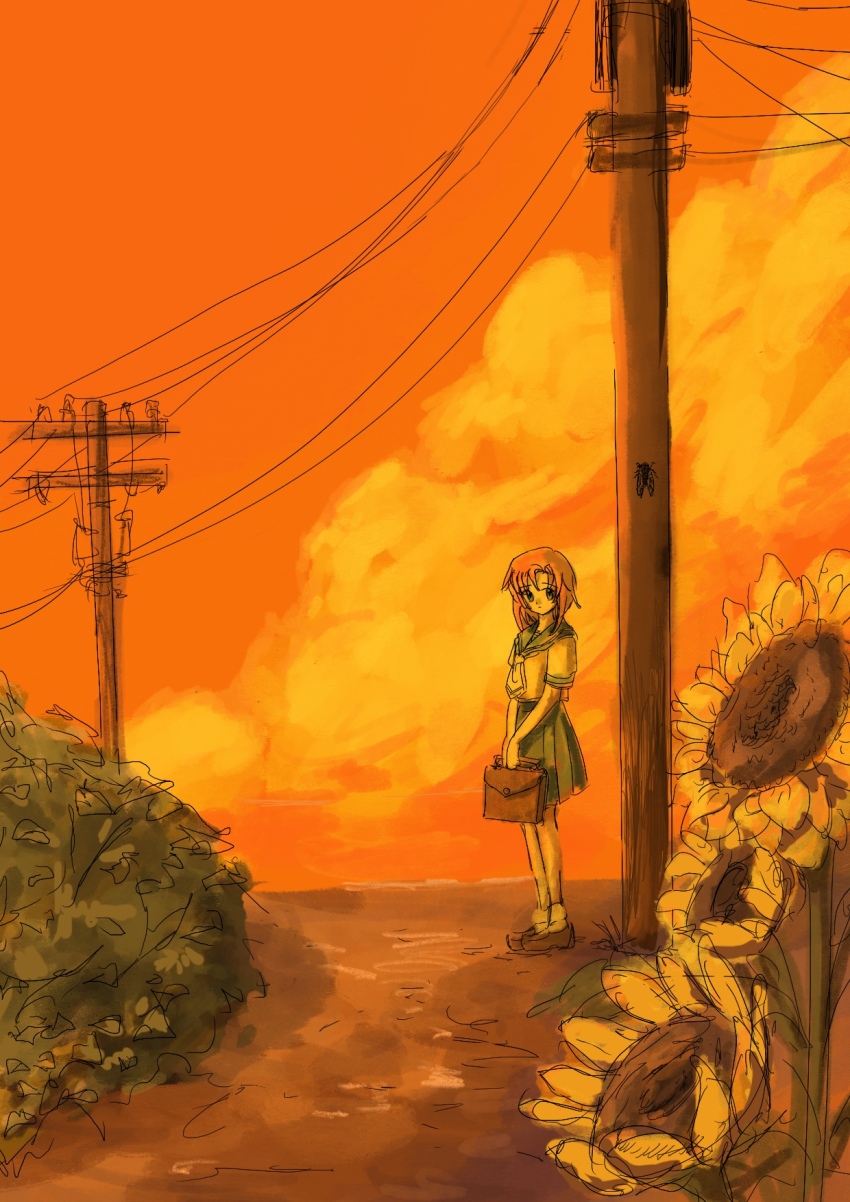 1girl briefcase bug cicada cloud cloudy_sky flower highres higurashi_no_naku_koro_ni insect looking_at_viewer medium_hair orange_clouds orange_hair orange_sky orange_theme oshio5tonkg power_lines ryuuguu_rena sailor sailor_collar school_uniform simple_background sketch sky sunflower