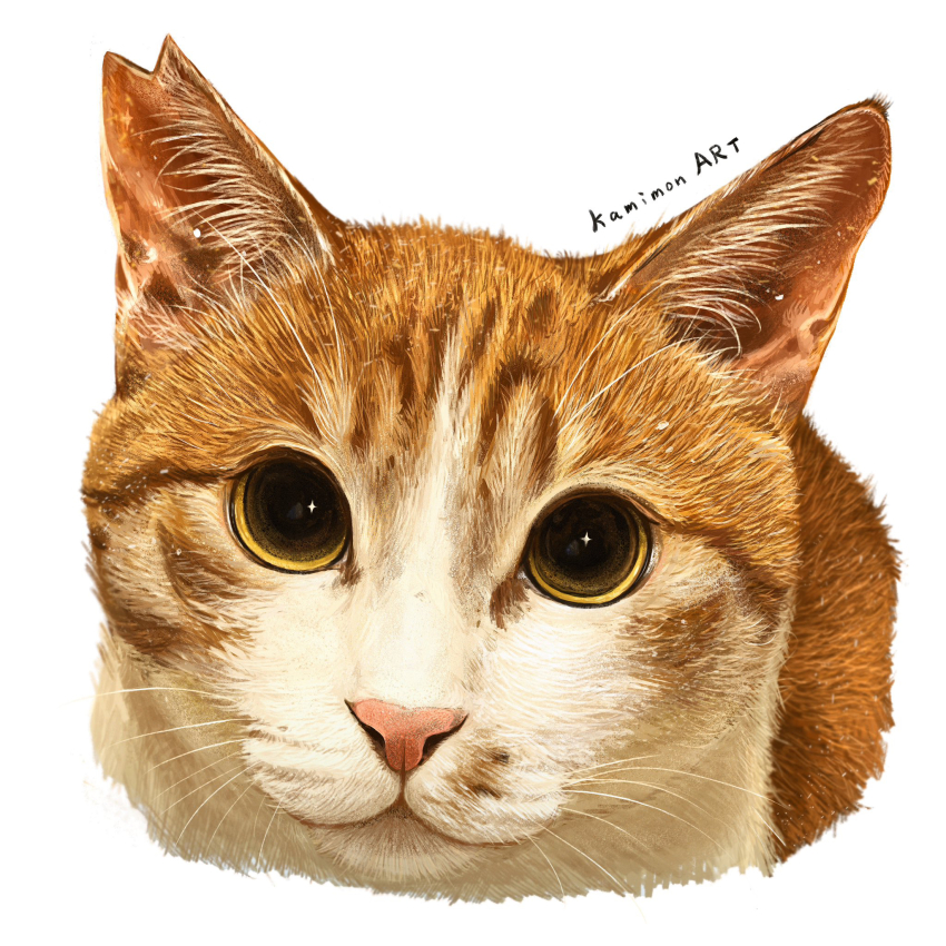 animal animal_ears animal_focus artist_name cat cat_ears highres kamimon2016 looking_at_viewer no_humans notched_ear orange_cat original simple_background star_(symbol) star_in_eye symbol_in_eye whiskers white_background