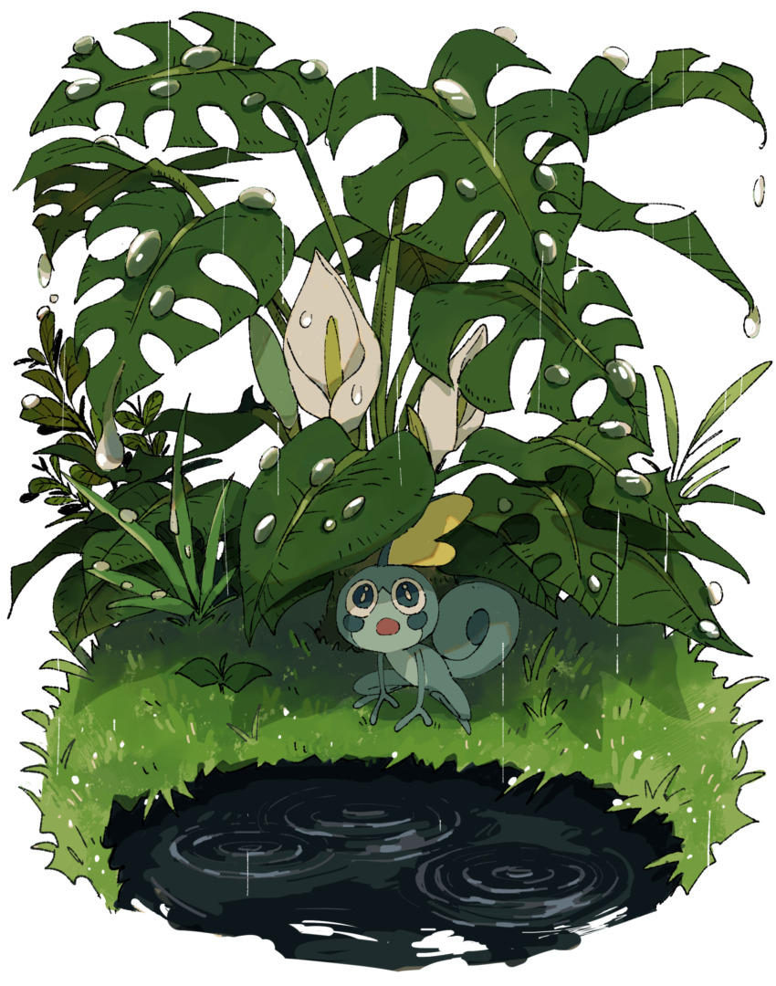 absurdres blue_eyes commentary_request creatures_(company) dripping flower full_body game_freak gen_8_pokemon grass highres mashita._(mentaiko_omoti) nintendo open_mouth outdoors plant pokemon pokemon_(creature) pond rain ripples simple_background sobble water water_drop white_background white_flower