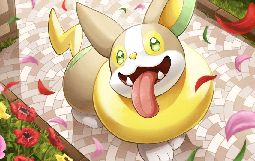 commentary_request creatures_(company) day fangs flower game_freak gen_8_pokemon grass green_eyes hakuginnosora highres looking_up nintendo no_humans open_mouth outdoors petals pokemon pokemon_(creature) red_flower shadow solo standing tongue tongue_out yamper