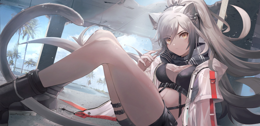 1girl absurdres animal_ear_fluff animal_ears arknights bad_id bad_pixiv_id bare_legs black_footwear black_scarf black_shorts blue_sky boots breasts brown_eyes cat_ears cat_tail commentary_request crop_top day earrings feet_out_of_frame highres jacket jewelry knees_up long_hair looking_at_viewer medium_breasts midriff navel o-sd! open_clothes open_jacket palm_tree partial_commentary ponytail scarf schwarz_(arknights) short_shorts shorts silver_hair sitting sky solo stomach tail thigh_strap thighs tree white_jacket