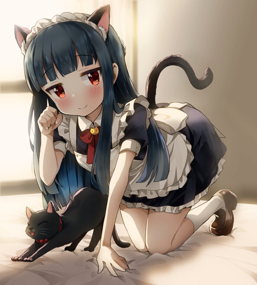 1girl all_fours animal_ears apron black_cat black_dress blue_hair blunt_bangs blurry blurry_background blush bow bowtie cat cat_ears cat_tail closed_mouth dot_nose dress fake_animal_ears fake_tail frilled_apron frilled_dress frills highres idolmaster idolmaster_cinderella_girls idolmaster_cinderella_girls_starlight_stage indoors loafers long_hair looking_at_viewer maid_headdress michii_yuuki on_bed paw_pose red_bow red_bowtie red_eyes sajo_yukimi shoes short_sleeves smile socks solo sunlight tail white_apron white_socks window