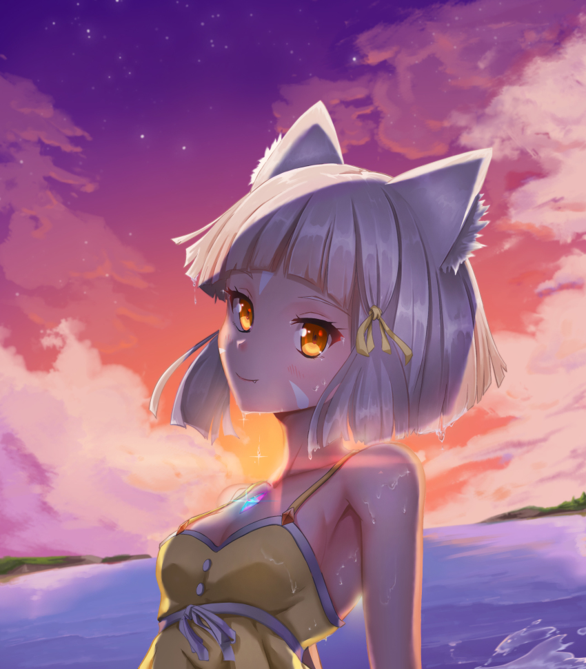 1girl absurdres animal_ear_fluff animal_ears bare_shoulders blunt_bangs breasts cat_ears chest_jewel cleavage dress dusk facial_mark highres horizon kl4397 looking_at_viewer medium_breasts nia_(fancy_sundress)_(xenoblade) nia_(xenoblade) ocean one-piece_swimsuit outdoors short_hair silver_hair sky solo spoilers star_(sky) starry_sky sundress swimsuit upper_body xenoblade_chronicles_(series) xenoblade_chronicles_2 yellow_dress yellow_eyes yellow_one-piece_swimsuit