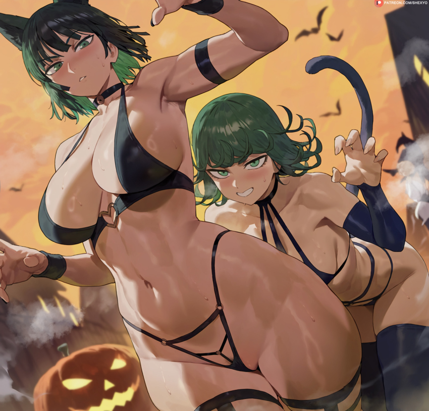 2girls animal_ears bat_(animal) black_thighhighs breasts cat_ears cat_tail cloud commentary fubuki_(one-punch_man) green_eyes green_hair halloween highres jack-o&#039;-lantern large_breasts looking_at_viewer multiple_girls navel one-punch_man orange_sky outdoors patreon_logo patreon_username pumpkin shexyo short_hair siblings sisters sky small_breasts sweat tail tatsumaki thighhighs thighs