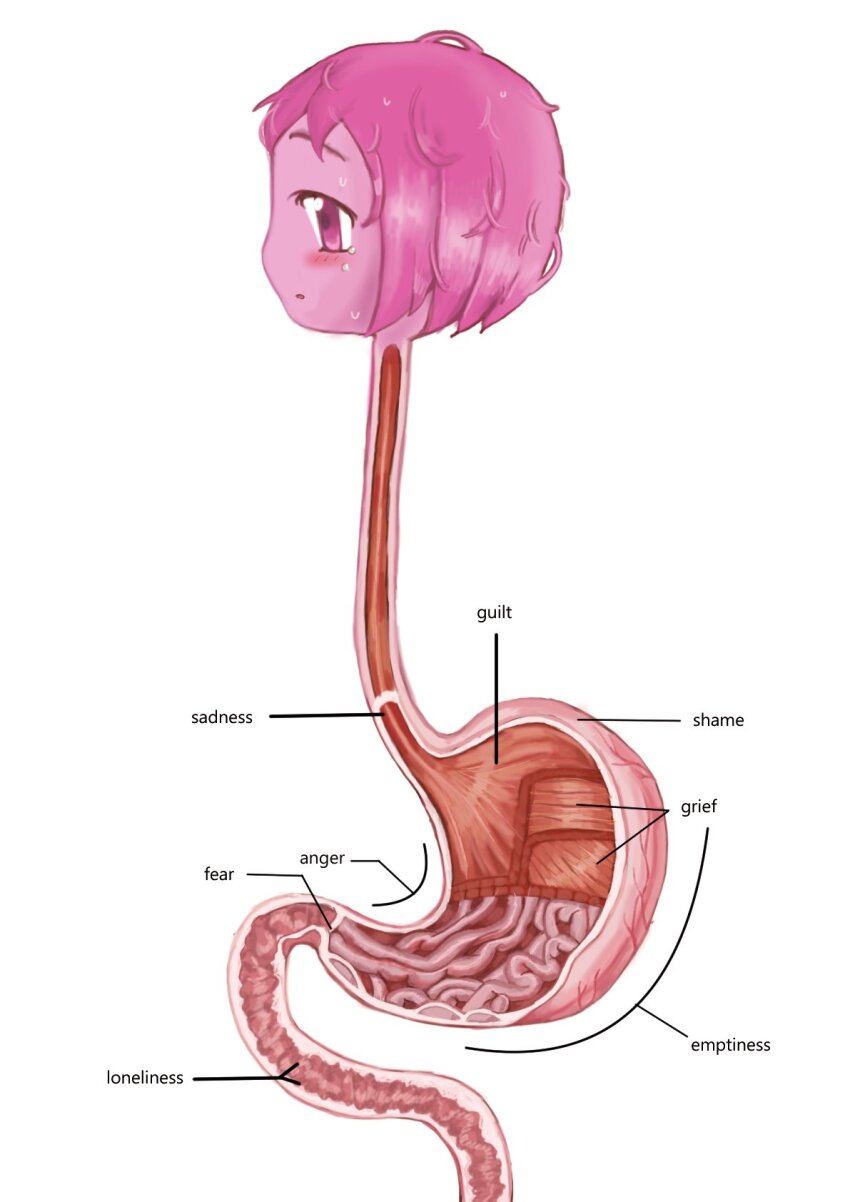 1girl anatomy avvunka blush cross-section highres label organs original pink_eyes pink_hair solo sweat wet wet_hair what white_background