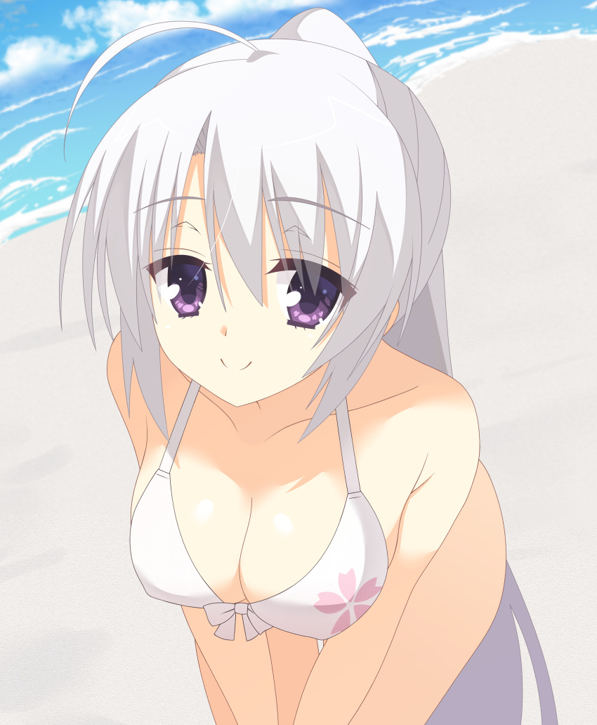 1girl absurdres ahoge alternate_costume alternate_hairstyle armpit_crease ayachi_nene bare_shoulders beach bikini breasts c: cherry_blossom_print cleavage closed_mouth collarbone commentary_request day eyes_visible_through_hair floral_print grey_hair hair_between_eyes highres kaon_zz large_breasts leaning_forward long_hair looking_at_viewer ocean outdoors ponytail print_bikini purple_eyes sanoba_witch smile solo split_mouth straight_hair swimsuit v_arms very_long_hair white_bikini