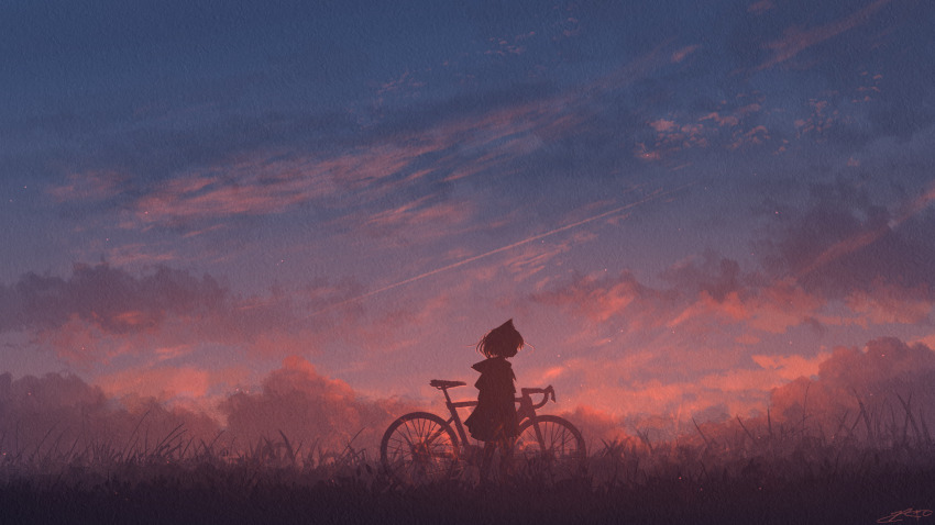 1girl animal_ears bicycle cloud cloudy_sky commentary_request field from_side grass highres landscape nature original outdoors rune_xiao scenery short_hair signature silhouette sky solo standing sunset twilight