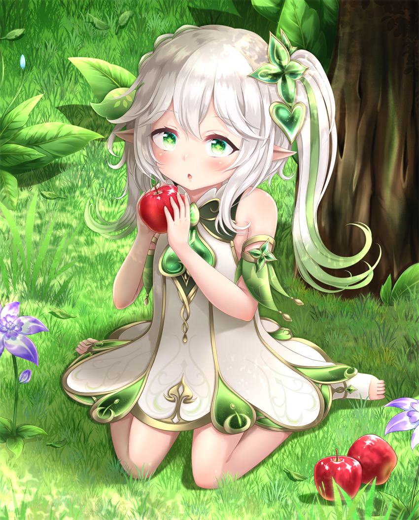 1girl apple braid commentary_request detached_sleeves dress flower food fruit genshin_impact gradient_hair grass green_eyes hair_between_eyes hair_ornament highres holding holding_food holding_fruit long_hair looking_away multicolored_hair nahida_(genshin_impact) parted_lips pointy_ears renati_(renatium) short_sleeves side_ponytail sidelocks single_braid sitting solo stirrup_legwear symbol-shaped_pupils toeless_legwear toes tree wariza white_dress white_hair