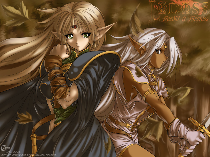 Deedlit Pirotess Record Of Lodoss War Highres Tagme Image View