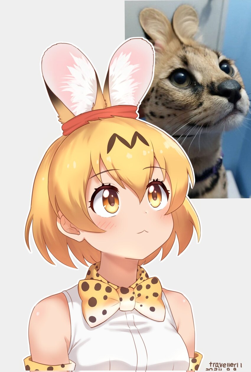 1girl :3 animal_ears blonde_hair blush bow bowtie cat_ears cat_girl creature_and_personification elbow_gloves extra_ears gloves hair_between_eyes hairband highres kemono_friends looking_up personification photo-referenced print_bow print_bowtie print_gloves reference_photo serval_(kemono_friends) serval_print shirt short_hair sidelocks solo travellerll upper_body white_shirt yellow_eyes