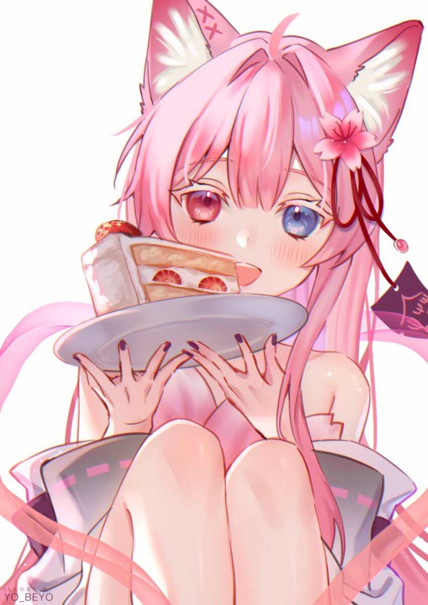 ahoge animal_ear_fluff animal_ears bare_shoulders beyo blue_eyes cake cherry_blossoms fingernails flat_chest flower food fruit hagoromo hair_between_eyes hair_flower hair_ornament hair_ribbon heterochromia highres indie_virtual_youtuber knees knees_up long_hair nail_polish open_mouth pink_flower pink_hair plate red_eyes ribbon shawl shinyo_yukino_(vtuber) sidelocks simple_background sitting smile strawberry strawberry_shortcake tassel tasuki virtual_youtuber white_background