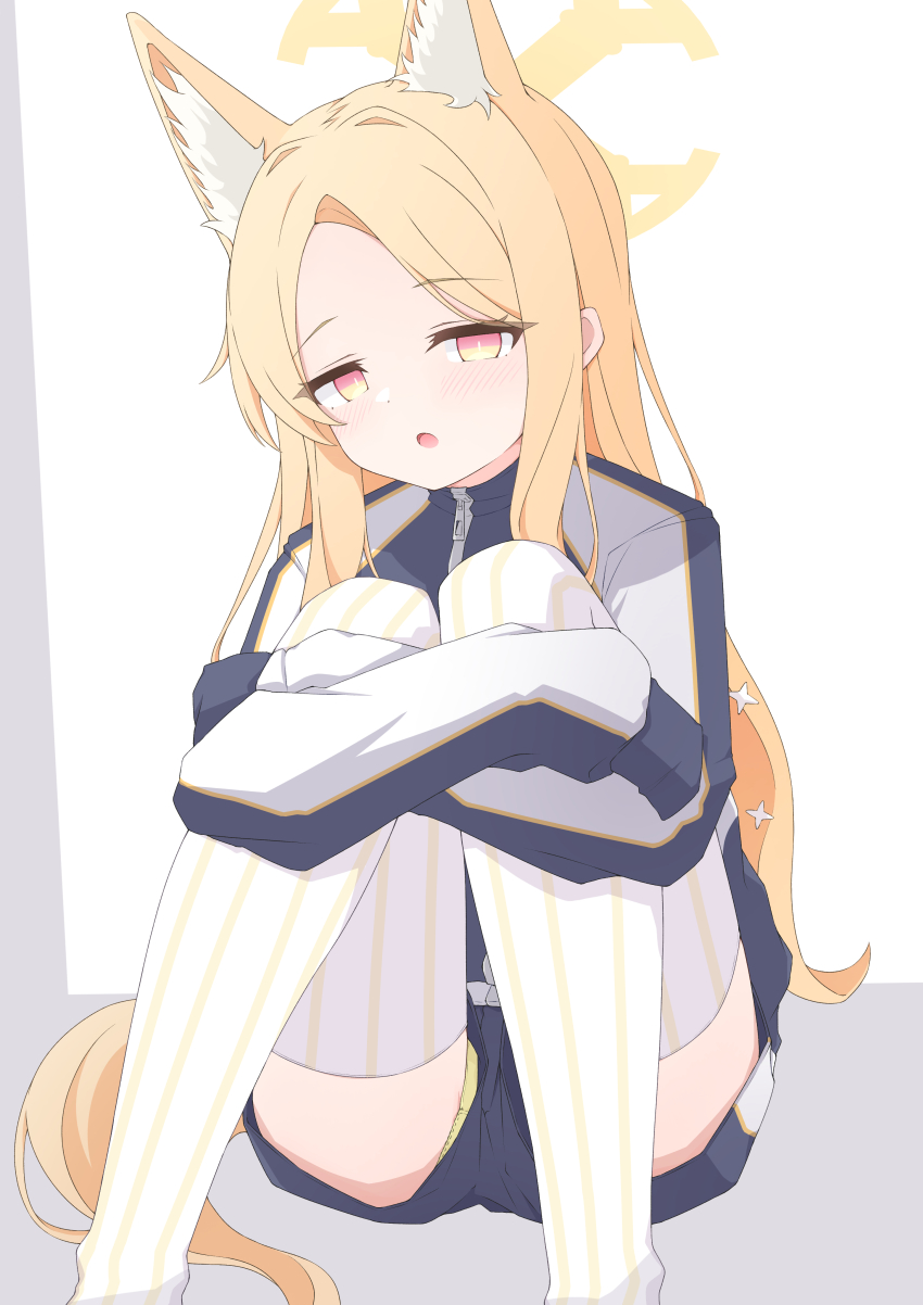 1girl absurdres animal_ear_fluff animal_ears blonde_hair blue_archive bright_pupils cross_halo extra_ears forehead fox_ears gradient_eyes gym_uniform halo highres hugging_own_legs knees_to_chest long_hair mizusaki_(kn27) multicolored_eyes open_mouth panties seia_(blue_archive) sitting sleeves_past_fingers sleeves_past_wrists solo sportswear striped_clothes striped_thighhighs thighhighs underwear upshorts white_pupils yellow_eyes yellow_halo yellow_panties