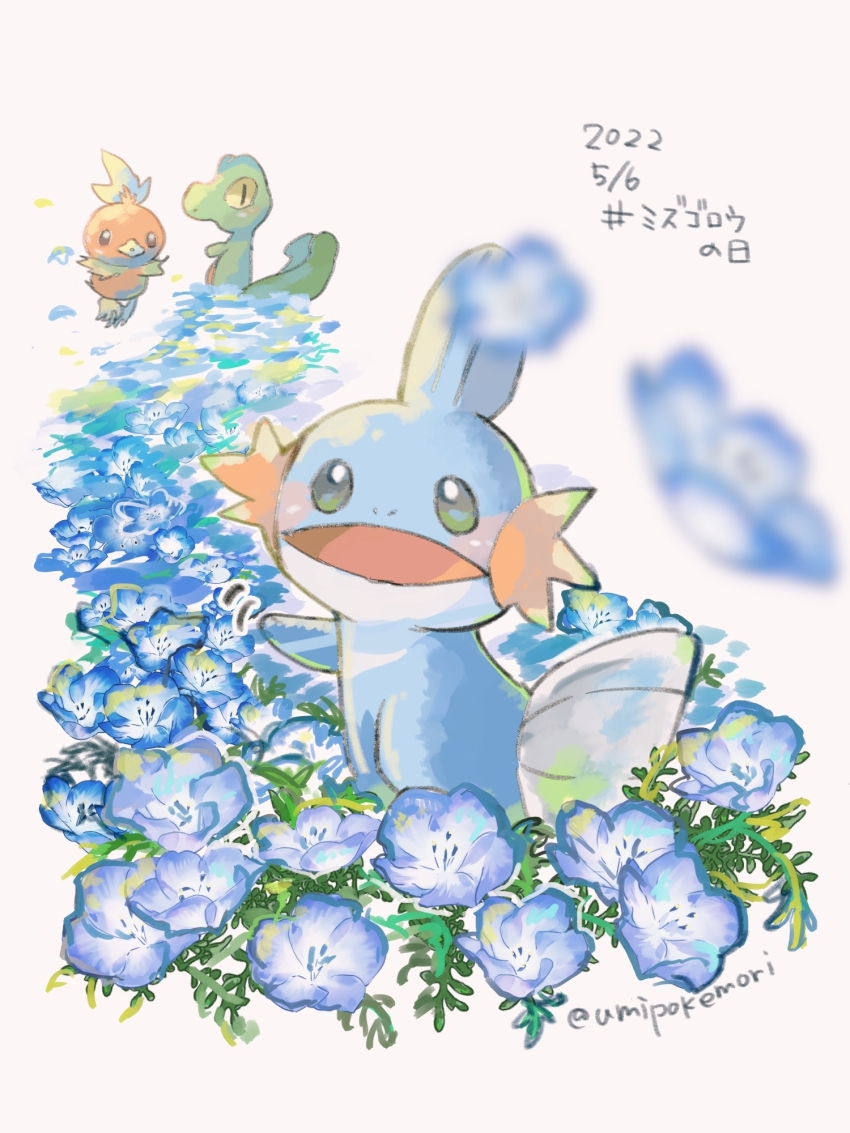 animal_focus blurry blurry_foreground bright_pupils creatures_(company) dated field flower flower_field flower_request full_body game_freak gen_3_pokemon highres looking_at_viewer mudkip nintendo no_humans nostrils open_mouth pokemon pokemon_(creature) simple_background torchic translation_request treecko umipokemori white_background white_pupils