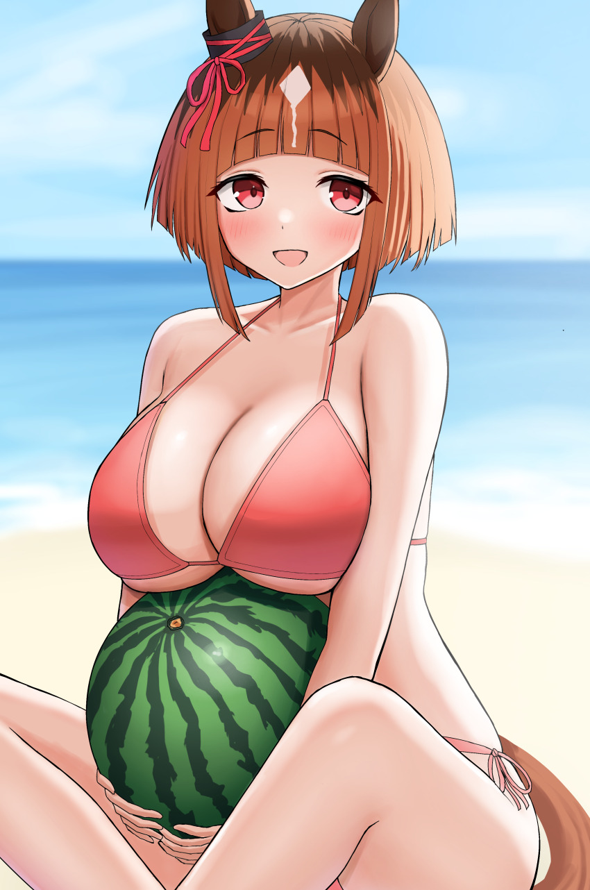 1girl absurdres animal_ears beach bikini blue_sky bow breasts brown_hair cloud commentary_request day ear_ribbon food fruit highres horse_ears horse_girl horse_tail large_breasts looking_at_viewer ocean open_mouth outdoors red_bikini red_eyes red_ribbon ribbon short_hair side-tie_bikini_bottom sitting sky solo sukenoha swimsuit tail transcend_(umamusume) umamusume watermelon