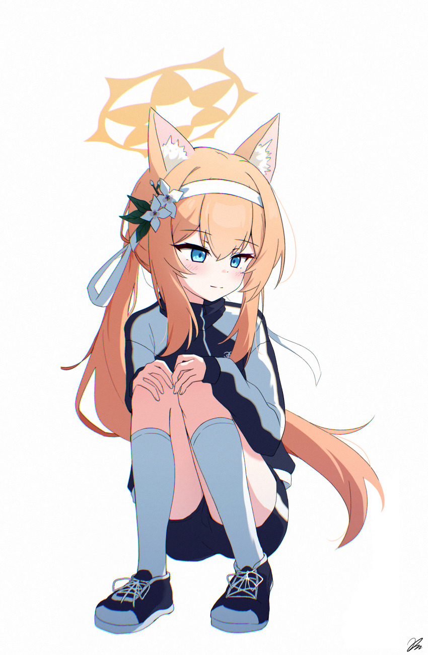 1girl absurdres animal_ear_fluff animal_ears bandana blue_archive blue_eyes blue_shoes blush commentary_request flower flower_ornament halo highres hugging_own_legs jacket kiroshi korean_commentary long_hair long_sleeves mari_(blue_archive) mari_(track)_(blue_archive) orange_hair orange_halo ponytail shoes short_shorts shorts sidelocks simple_background sitting socks solo track_jacket white_background white_bandana white_flower white_socks