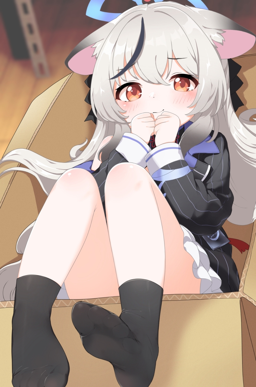 1girl animal_ears black_bow black_socks blue_archive blue_halo blush bow box brown_pupils card cardboard cardboard_box clenched_hands closed_mouth didac_fantasy dot_nose dress feet frilled_skirt frills grey_hair hair_bow halo hands_on_own_chin highres knees kokona_(blue_archive) long_hair long_sleeves looking_at_viewer lying no_shoes on_back orange_eyes red_ribbon ribbon single_bare_shoulder single_hair_streak single_off_shoulder skirt smile socks soles solo striped_clothes striped_dress tiger_ears vertical-striped_clothes