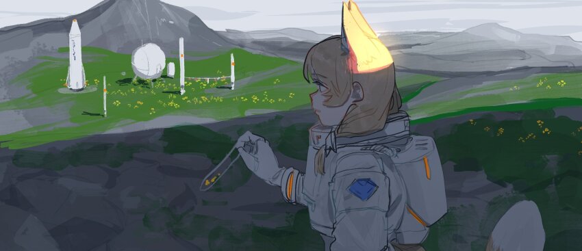 1girl animal_ears astronaut blonde_hair day flower fox_ears fox_girl fox_tail from_side grass grey_sky hair_over_shoulder hand_up highres holding long_hair looking_ahead mountainous_horizon no_headwear original outdoors profile re24 rocket shade sky solo spacecraft spacesuit standing tail upper_body yellow_flower