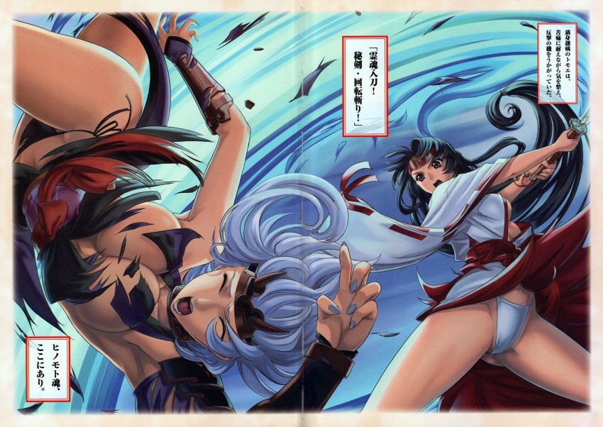 Eiwa Musha Miko Tomoe Shizuka Queens Blade Tomoe Queens Blade