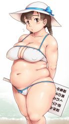  1girl beach bikini blush braid breasts brown_eyes brown_hair cowboy_shot covered_erect_nipples fat fat_rolls female_focus hat highres large_breasts looking_at_viewer navel original orizen plump sagging_breasts solo standing swimsuit thick_thighs thighs  rating:Questionable score:68 user:Onekoko