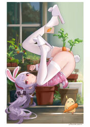 1girl absurdres alternate_costume anal anal_object_insertion animal_ears ass azur_lane between_legs black_bow blush bottomless bow carrot clenched_hand double_penetration fake_animal_ears feet female_masturbation fingering food food_insertion from_side full_body hair_bow hair_ornament hairband hand_between_legs hand_up heart heart-shaped_pupils highres knee_up laffey_(azur_lane) laffey_(sleep_to_clean_another_day)_(azur_lane) legs legs_up long_hair looking_at_viewer lying masturbation messy_hair no_panties object_insertion on_back on_shoulder open_mouth pajamas pajamas_lift pink_eyes pink_hairband pink_pajamas plant polka_dot polka_dot_pajamas purple_hair pussy_juice pussy_juice_stain pussy_juice_trail rabbit_ears rabbit_hair_ornament rabbit_tail red_eyes sawkm skindentation slippers solo symbol-shaped_pupils tail thighhighs thighs top-down_bottom-up twintails upside-down vaginal vaginal_object_insertion very_long_hair white_thighhighs rating:Explicit score:301 user:danbooru