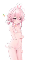  1girl absurdres animal_ears bikini blush breasts choker cleft_of_venus collarbone commentary cowboy_shot double_bun fake_animal_ears fake_tail female_focus hair_between_eyes hair_bun highres loli looking_at_viewer micro_bikini mimi_(shiodome_oji) navel original parted_lips pink_hair purple_eyes rabbit_ears rabbit_tail shiodome_oji side-tie_bikini_bottom simple_background small_breasts solo standing swimsuit symbol-only_commentary tail white_background white_bikini white_choker  rating:Questionable score:30 user:danbooru