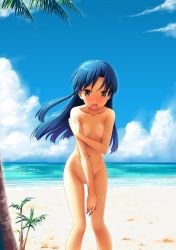 00s 1girl beach blue_hair blue_sky brown_eyes cloud covering_privates covering_breasts covering_crotch embarrassed female_focus highres idolmaster idolmaster_(classic) kisaragi_chihaya nude nude_filter ocean outdoors pussy sky solo standing third-party_edit uncensored rating:Explicit score:51 user:th8827
