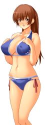 1girl bikini breasts dead_or_alive g_kilo-byte kasumi_(doa) large_breasts saberfish simple_background solo swimsuit tecmo rating:Questionable score:19 user:jojosstand
