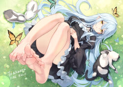  1girl absurdres barefoot bld_zi bug butterfly cat feet grass highres insect light_blush long_hair looking_at_viewer lying on_back rabbit soles toes yellow_eyes  rating:Sensitive score:11 user:ssfl