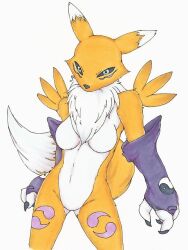  digimon digimon_(creature) fluffy fox_girl fox_tail furry furry_female renamon tail  rating:Questionable score:0 user:Chaos11