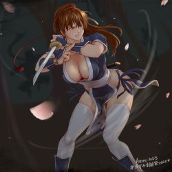  1girl breasts bula cherry_blossoms cleavage dead_or_alive highres kasumi_(doa) katana large_breasts long_hair pelvic_curtain petals ponytail sword tecmo weapon 