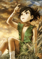  1girl abe_yoshitoshi androgynous ankle_wrap black_hair brown_eyes brown_sky bug commentary_request dororo_(character) dororo_(tezuka) dragonfly flat_chest grass guest_art hand_up highres insect looking_up open_clothes open_mouth outdoors ponytail reverse_trap sitting solo wrist_wrap 