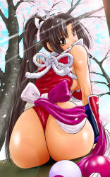 1girl ass black_hair bow fatal_fury highres huge_ass long_hair looking_back panties ponytail rope shiranui_mai sitting snk solo the_king_of_fighters thong underwear wolfpack rating:Questionable score:41 user:danbooru