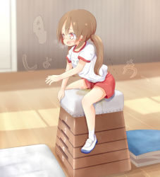 1girl 22m arm_up blush breath brown_hair clothes_writing embarrassed female_focus gym gym_shirt gym_shorts gym_uniform hair_tie have_to_pee indoors leaning_forward loli long_hair name_tag open_mouth orange_eyes original pee pee_stain peeing peeing_self puddle red_shorts shirt shoes short_sleeves shorts sitting socks solo speech_bubble stain stained_clothes stained_shorts steam straddling tears text_focus trembling twintails uniform uwabaki vaulting_horse wet wet_clothes wet_shorts white_footwear white_shirt white_socks wooden_floor  rating:Sensitive score:81 user:AngryZapdos