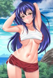 10s 1girl arms_behind_head artist_name artist_request bare_shoulders blue_sky blush breasts cloud collarbone curvy female_focus fuzzlogik highres looking_at_viewer love_live! love_live!_school_idol_project medium_breasts mountain outdoors parted_lips red_shorts shorts sky solo sonoda_umi sports_bra standing thighhighs tree underboob white_sports_bra yellow_eyes rating:Sensitive score:30 user:RaptorQ64