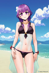  1girl aegis_(nerocc) artist_name beach bikini black_bikini blue_sky breasts cameltoe cleft_of_venus cloud commentary_request cowboy_shot day fire_emblem fire_emblem:_the_sacred_stones fire_emblem_heroes highres long_hair lute_(fire_emblem) lute_(summer)_(fire_emblem) mountainous_horizon navel nintendo ocean official_alternate_costume outdoors purple_eyes purple_hair sky small_breasts solo standing swimsuit twintails watermark 