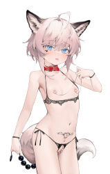  1girl absurdres anal_beads animal_ears arknights black_bra black_panties blue_eyes blush bra collar facial_mark female_focus flat_chest highres loli looking_at_viewer navel nipple_piercing nipples panties piercing pink_hair pubic_tattoo pussy pussy_peek sex_toy shin_maboroshi short_hair simple_background solo sussurro_(arknights) sweatdrop tail tattoo tongue tongue_out underwear white_background  rating:Questionable score:152 user:danbooru
