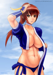 1girl abs arm_guards blue_panties breasts brown_eyes brown_hair cleavage dead_or_alive hand_on_own_head highres hybridmink kasumi_(doa) large_breasts long_hair looking_at_viewer navel no_bra panties parted_lips ponytail solo standing stomach toned underwear rating:Questionable score:46 user:danbooru