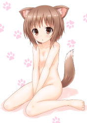 1girl :o animal_ears barefoot between_legs brown_eyes brown_hair dog_ears dog_tail flat_chest full_body hand_between_legs kisaragi_miyu nude open_mouth original paw_print short_hair simple_background sitting solo tail v_arms wariza white_background rating:Questionable score:39 user:danbooru