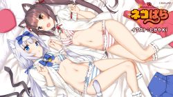 absurdres animal_ears bare_stomach bra breasts cat_ears cat_tail cat_tails chocola_(nekopara) cleavage fang highres nekopara panties small_breasts striped_clothes striped_panties tagme tail underwear vanilla_(nekopara) white_hair  rating:Questionable score:37 user:mallo