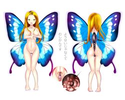  1girl ass bestiality between_buttocks blonde_hair breasts breasts_apart bug butterfly cervical_penetration cleft_of_venus cross-section deep_penetration full_body green_eyes highres implantation bug long_hair medium_breasts misleading_thumbnail nipples nude reon-shi sex small_areolae small_nipples standing text_focus translated uterus white_background x-ray  rating:Explicit score:45 user:abird